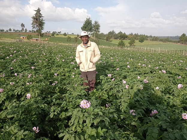 Transforming potato farming through CSA