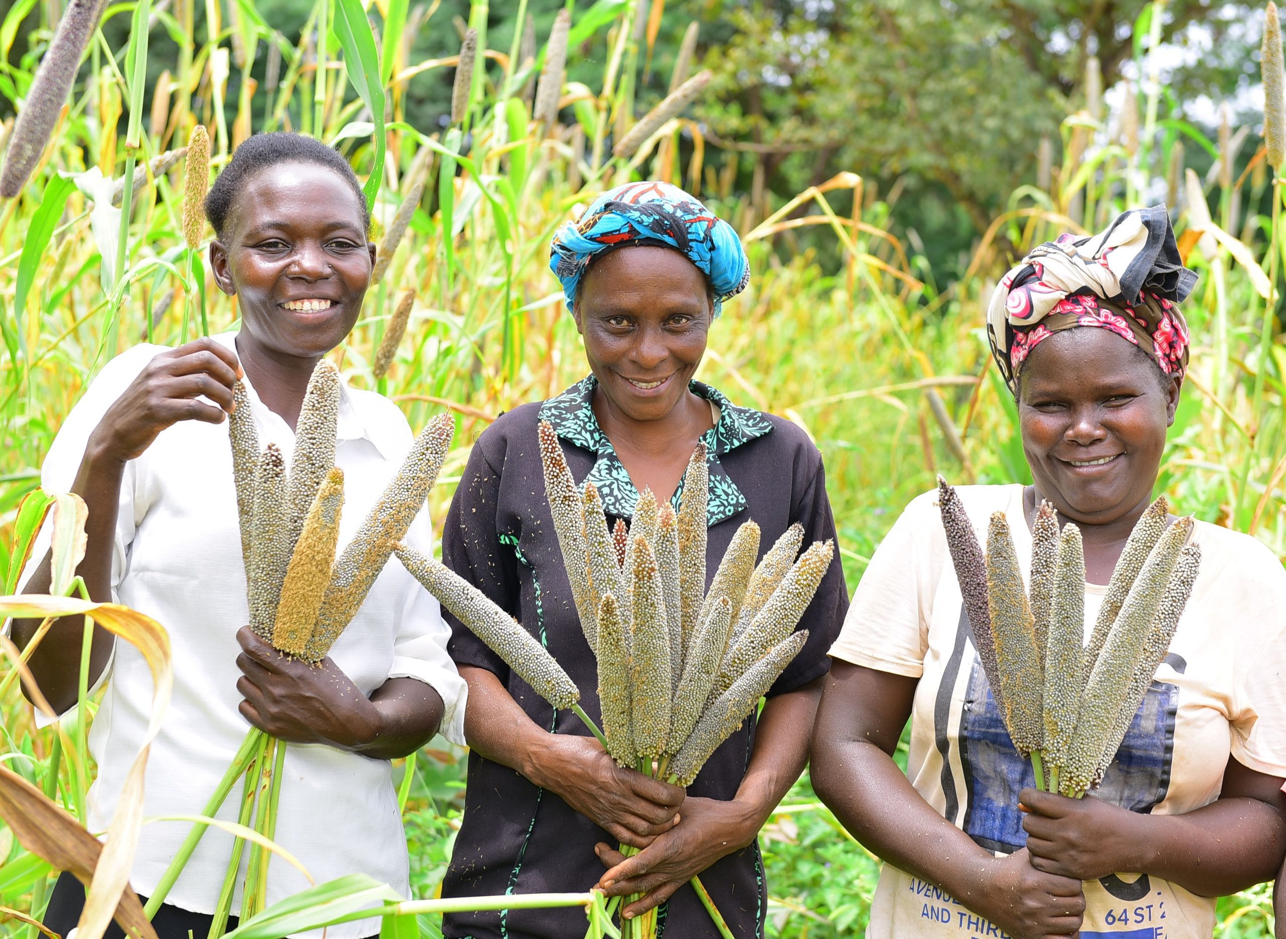 Women Lead Farmers group in Tharaka Nithi county during seed distribution and conservation agriculture training, 2025